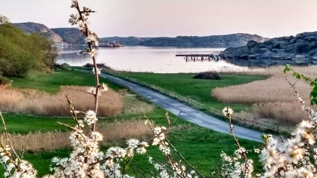 Photo of Outdoor in Gerlesborg