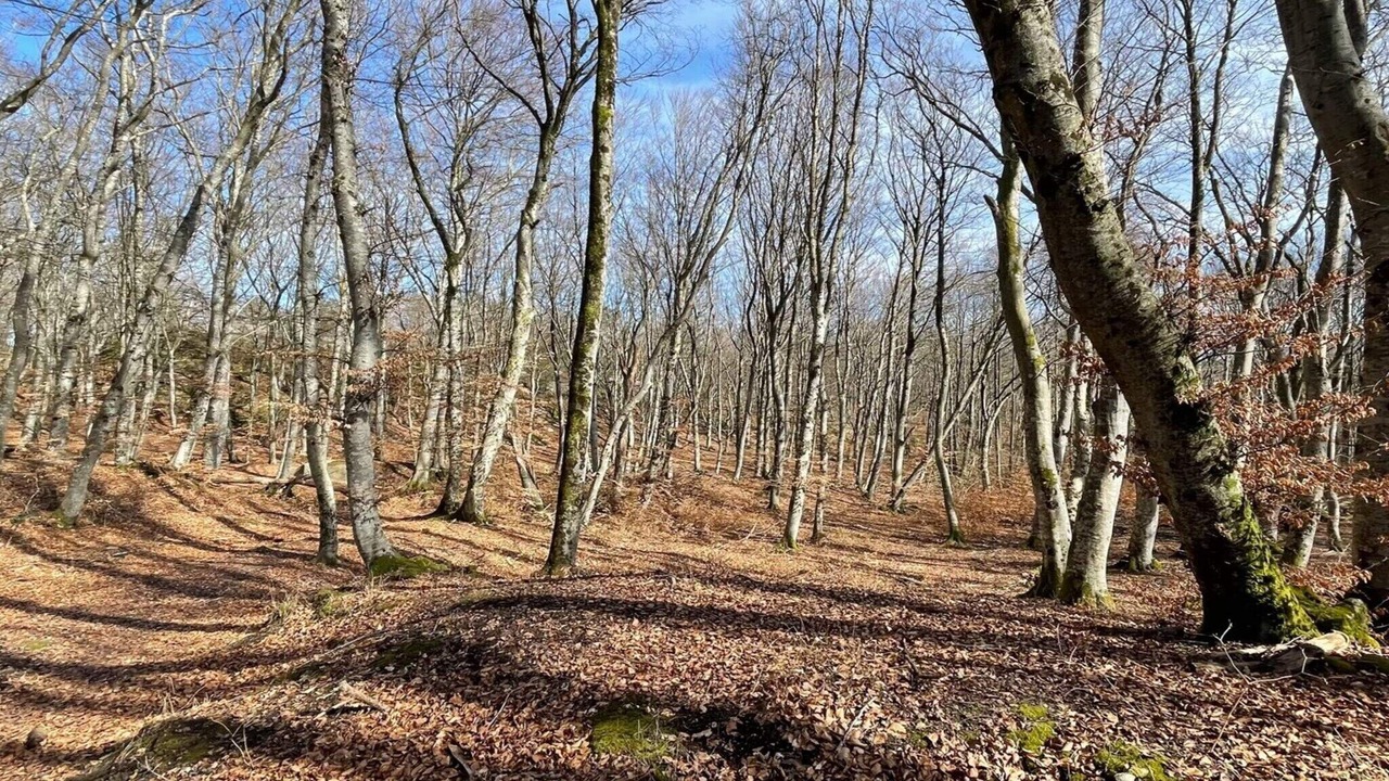 Photo of Others in Gerlesborg