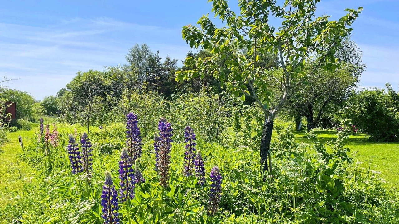 Photo of Outdoor in Levide