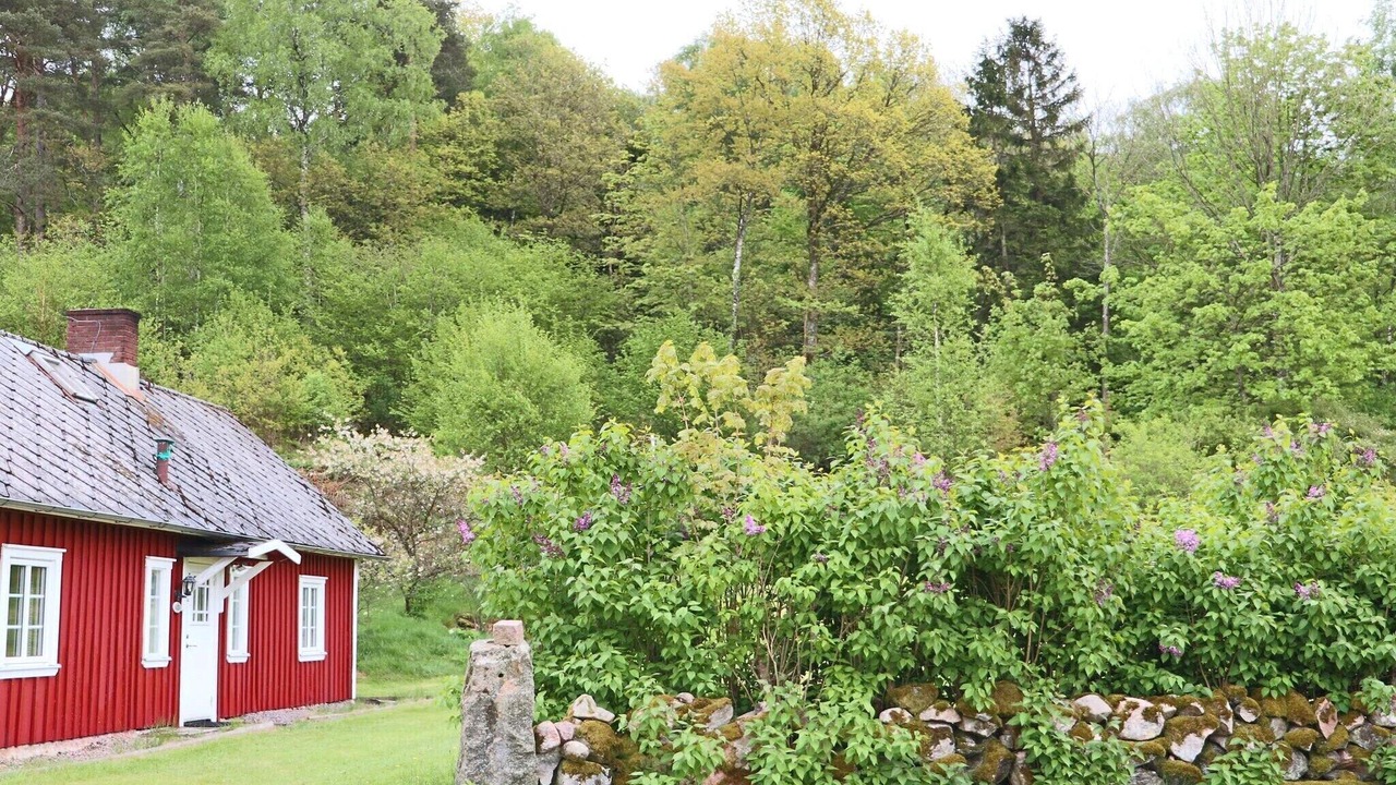Photo of Outdoor in Vessigebro