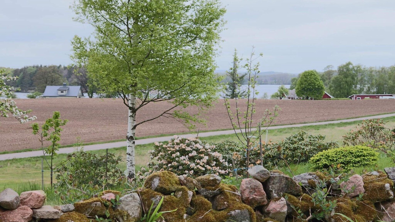 Photo of Outdoor in Vessigebro