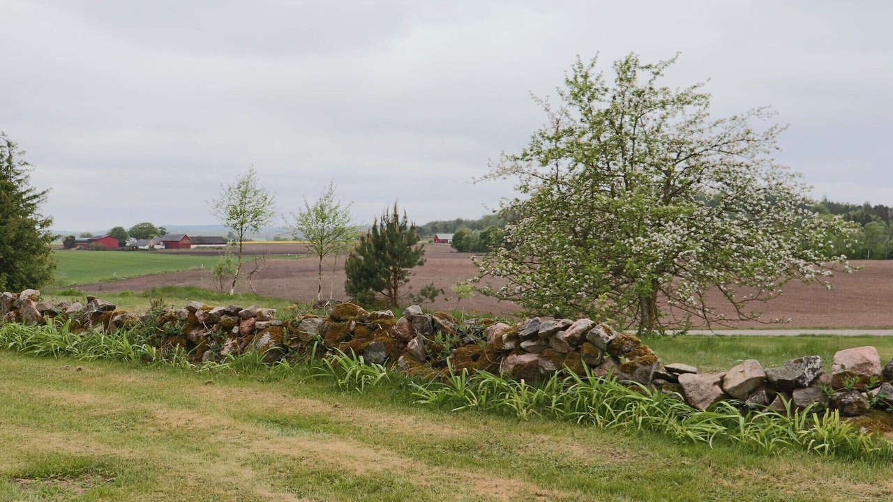 Photo of Outdoor in Vessigebro