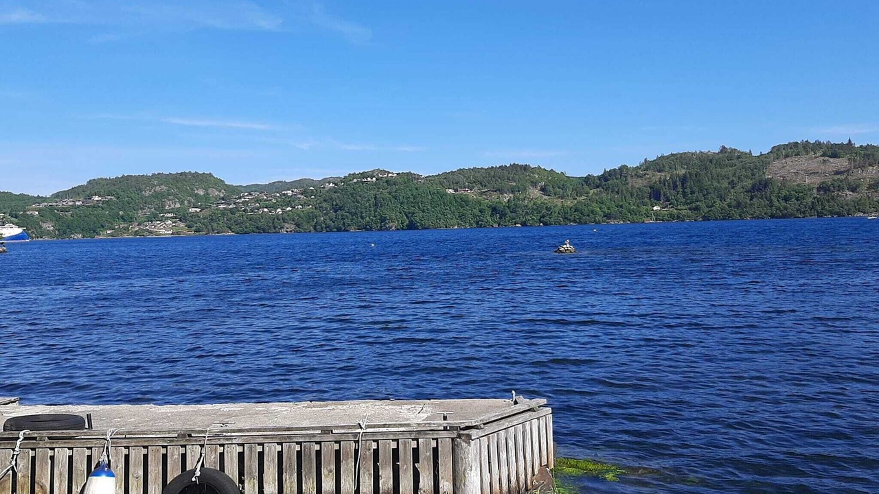 Photo of Others in Lyngdal
