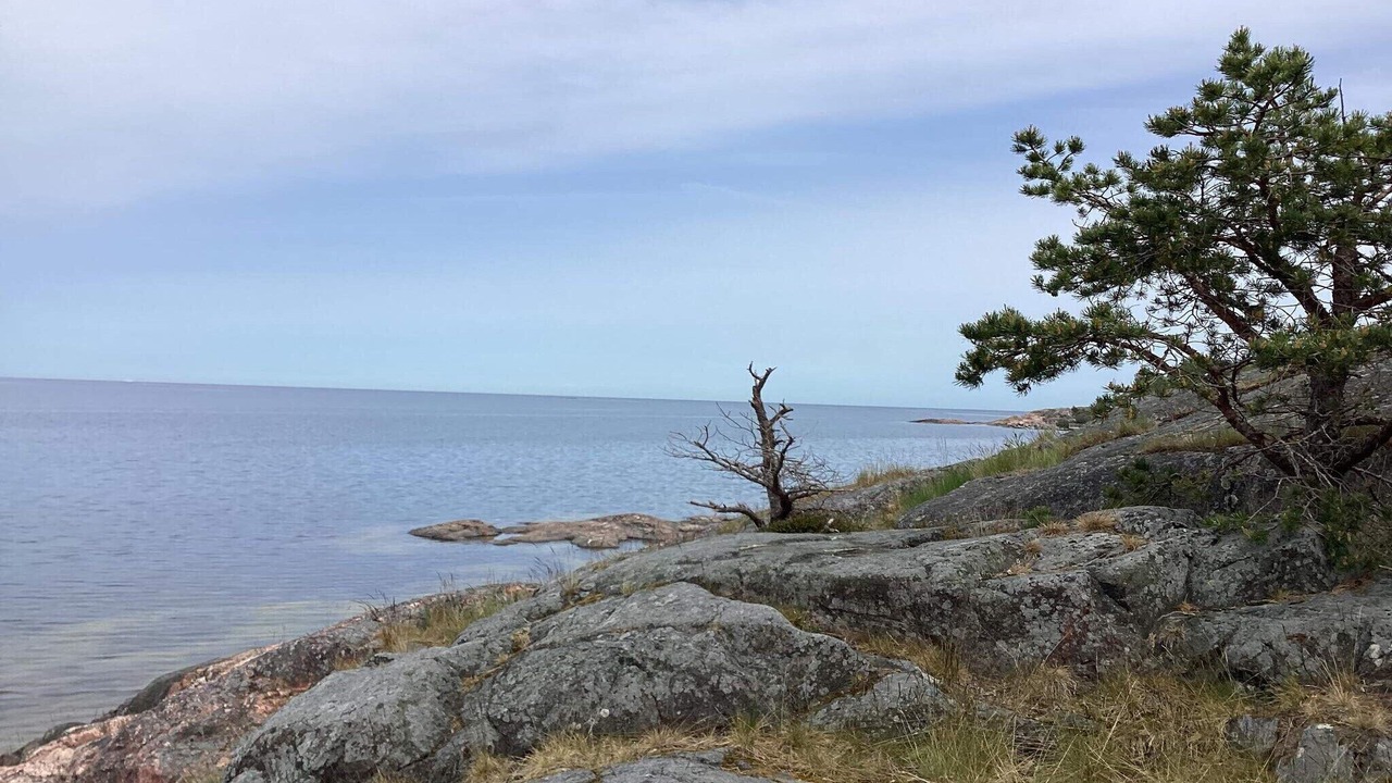 Photo of Outdoor in Vaddo