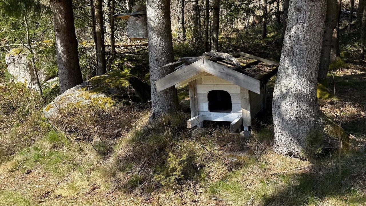Photo of Outdoor in Grimstad