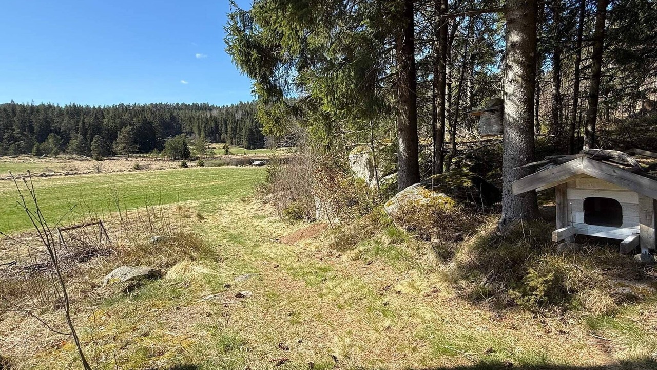 Photo of Outdoor in Grimstad