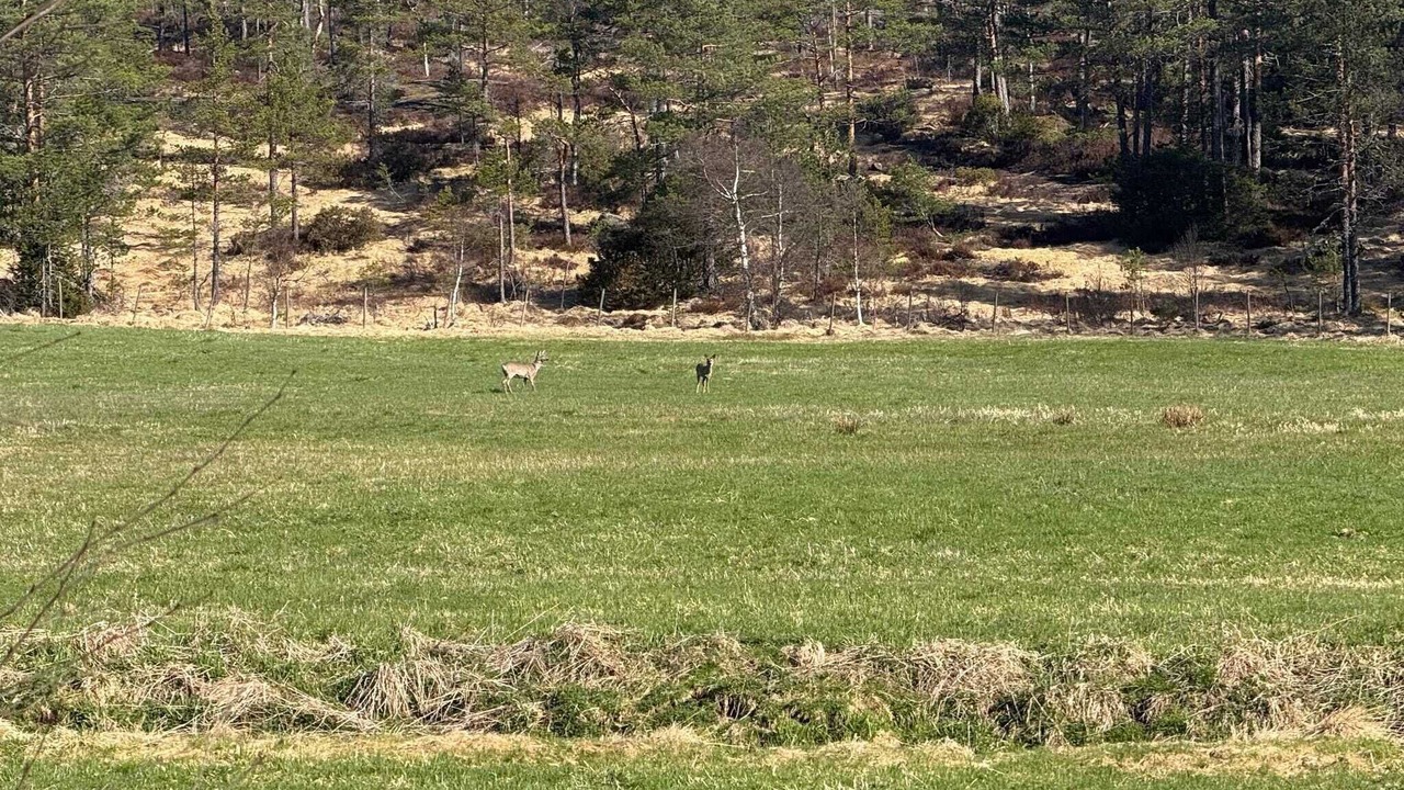Photo of Others in Grimstad