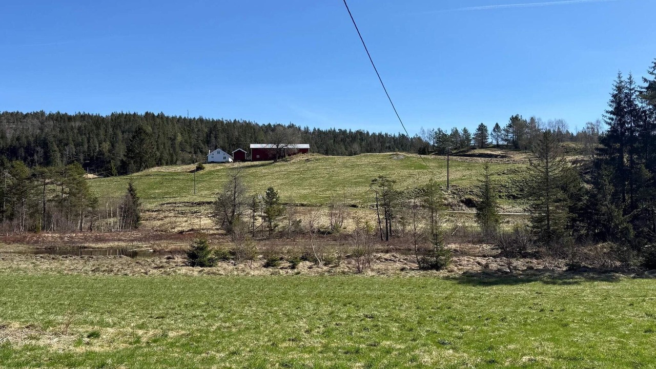Photo of Others in Grimstad