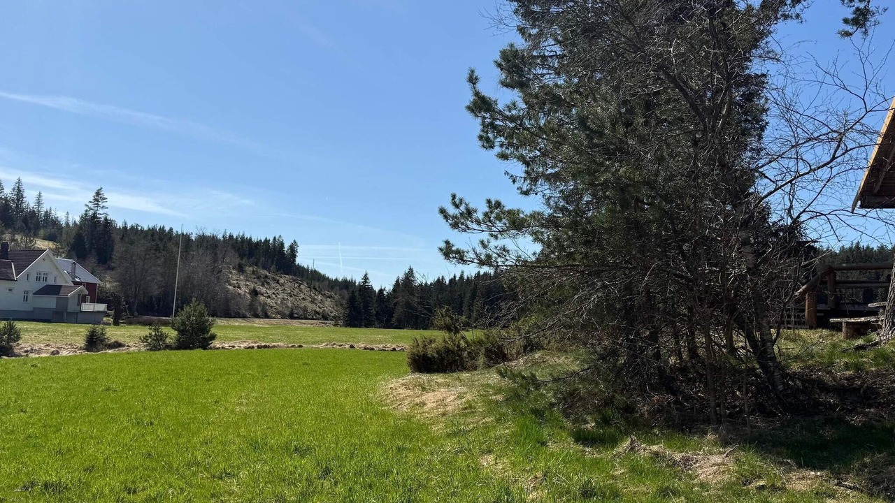 Photo of Others in Grimstad