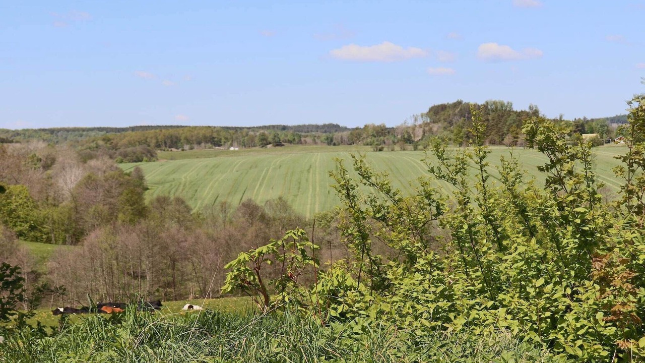 Photo of Outdoor in Ullared