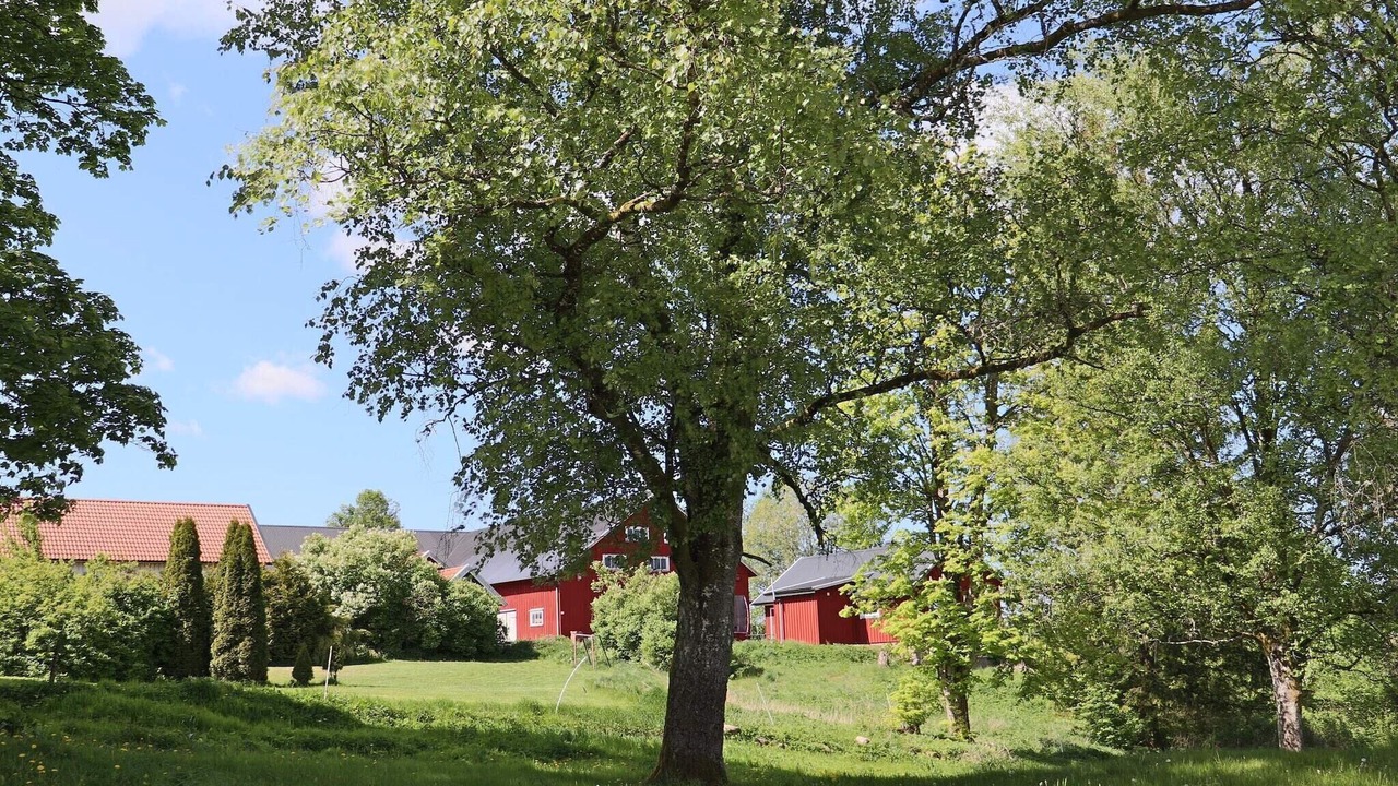Photo of Outdoor in Ullared