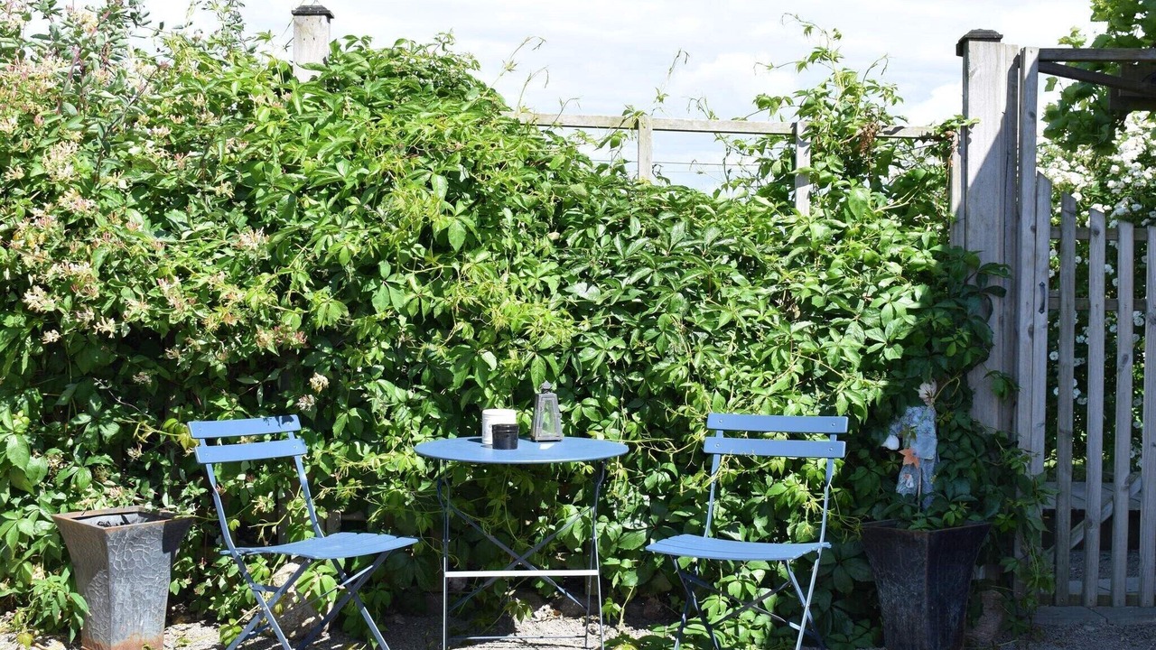 Photo of Outdoor in Angelholm