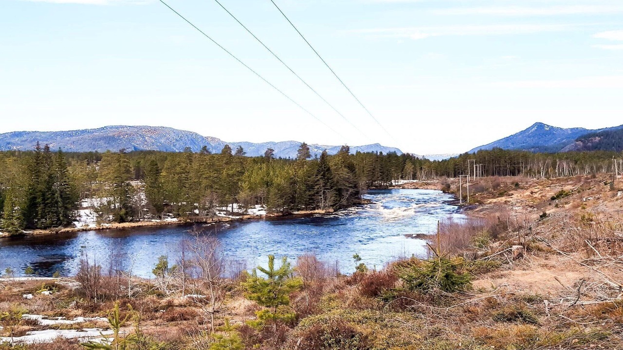 Photo of Others in Askland