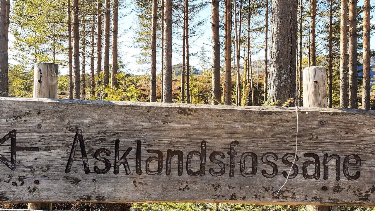 Photo of Others in Askland