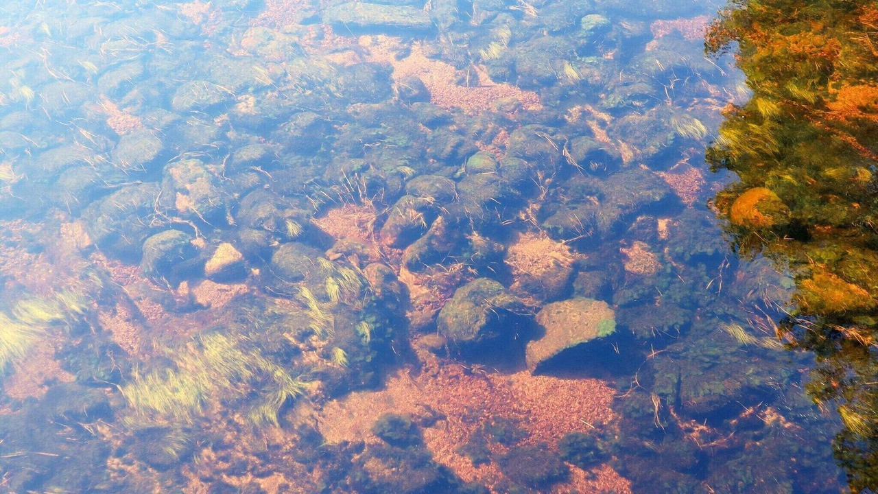 Photo of Others in Askland