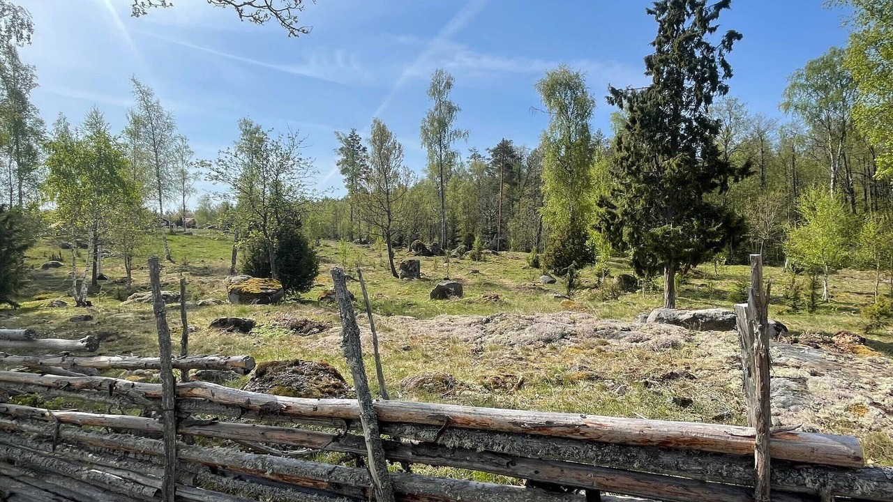Photo of Others in Kristdala