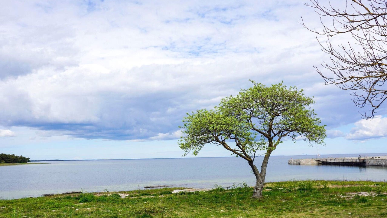 Photo of Others in Gotland Municipality