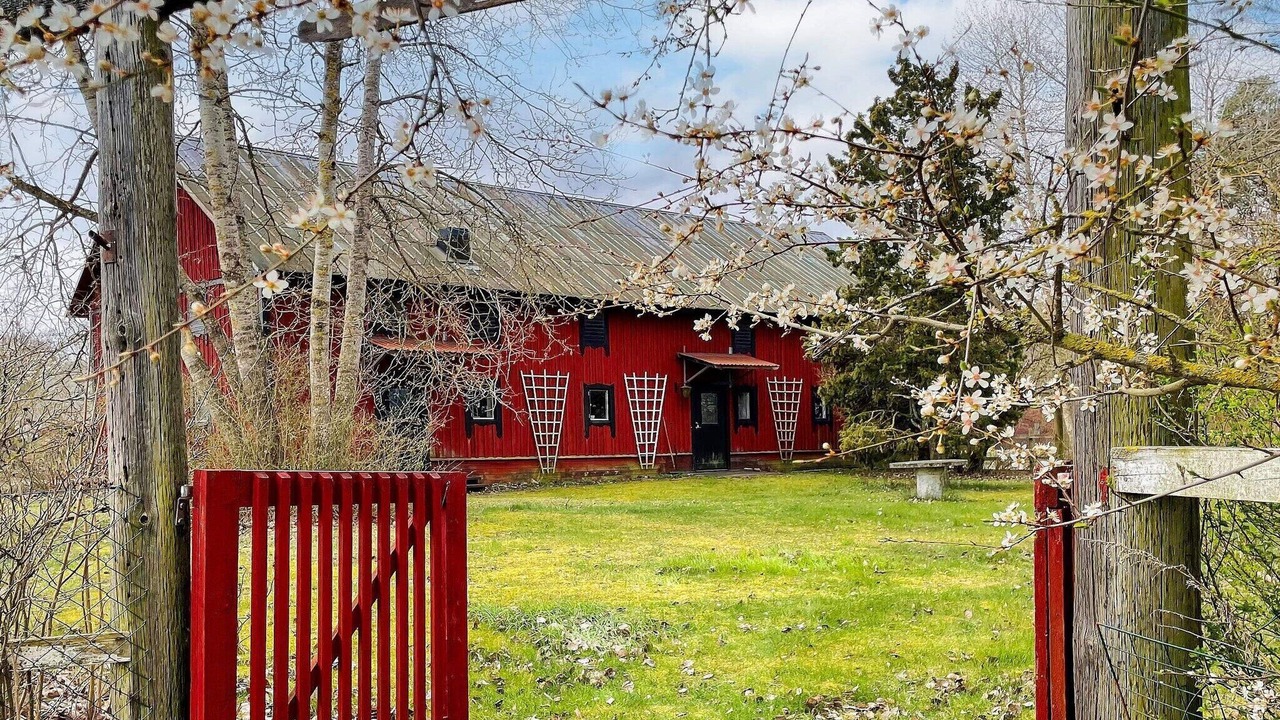 Photo of Outdoor in Gotland Municipality