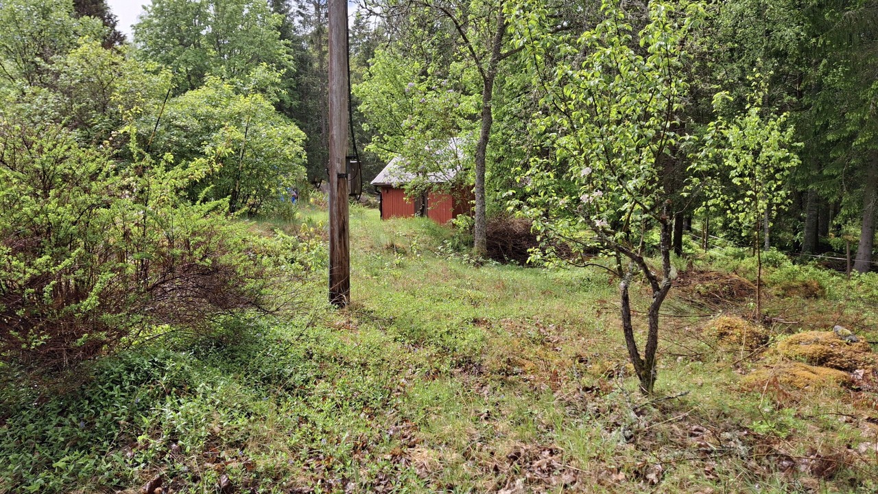 Photo of Outdoor in Lonsboda