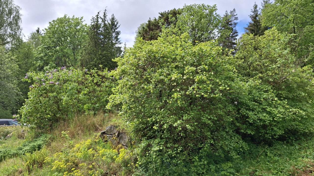 Photo of Outdoor in Lonsboda