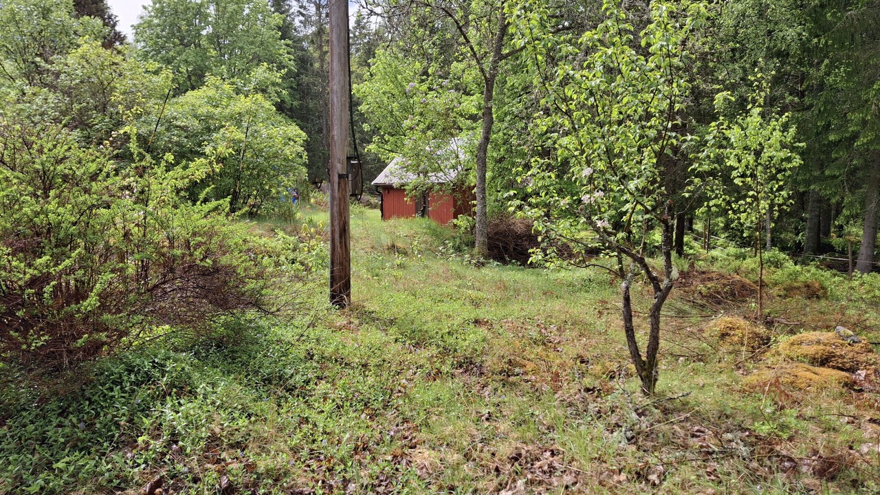 Photo of Others in Lonsboda