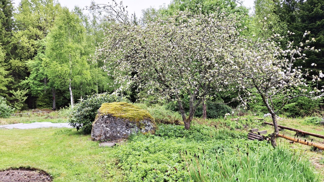 Photo of Outdoor in Lonsboda