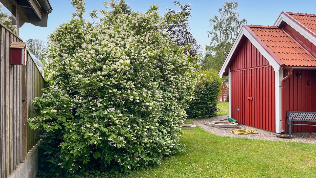 Photo of Others in Fjalkinge