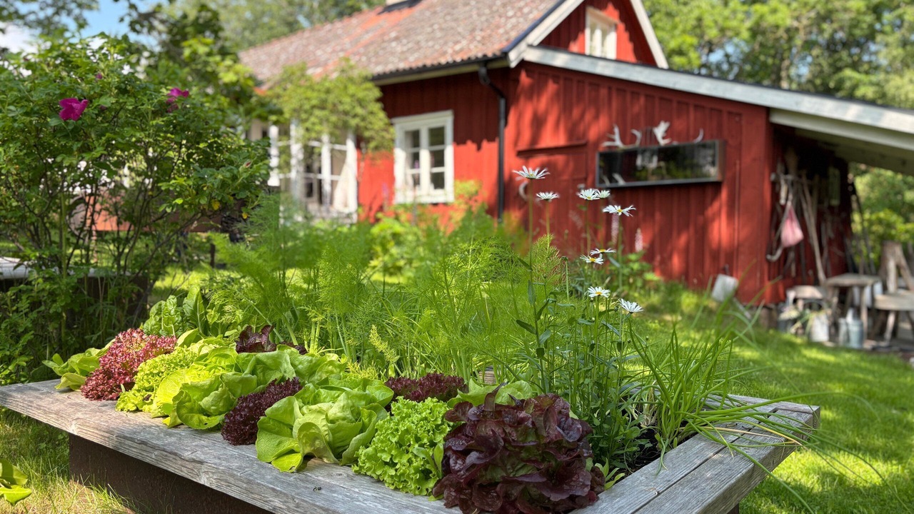 Photo of Outdoor in Mariestad