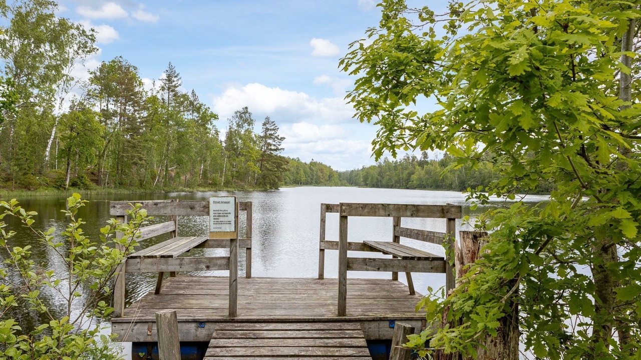 Photo of Others in Simlangsdalen