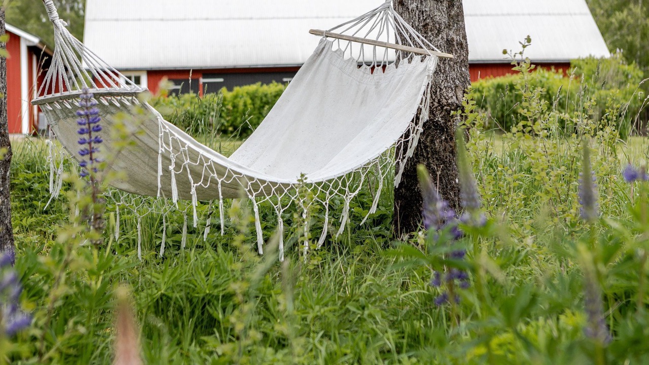 Photo of Others in Simlangsdalen