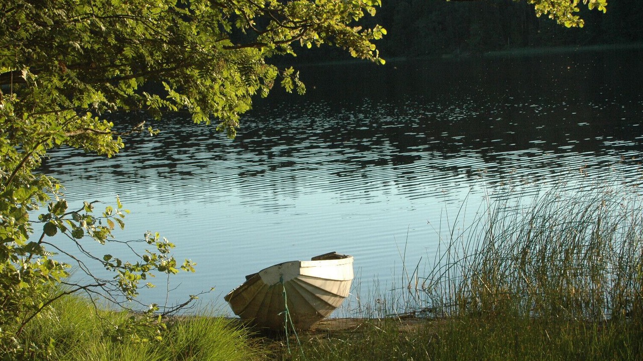 Photo of Others in Skillingsfors