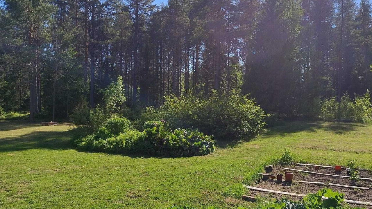 Photo of Outdoor in Hedenaset