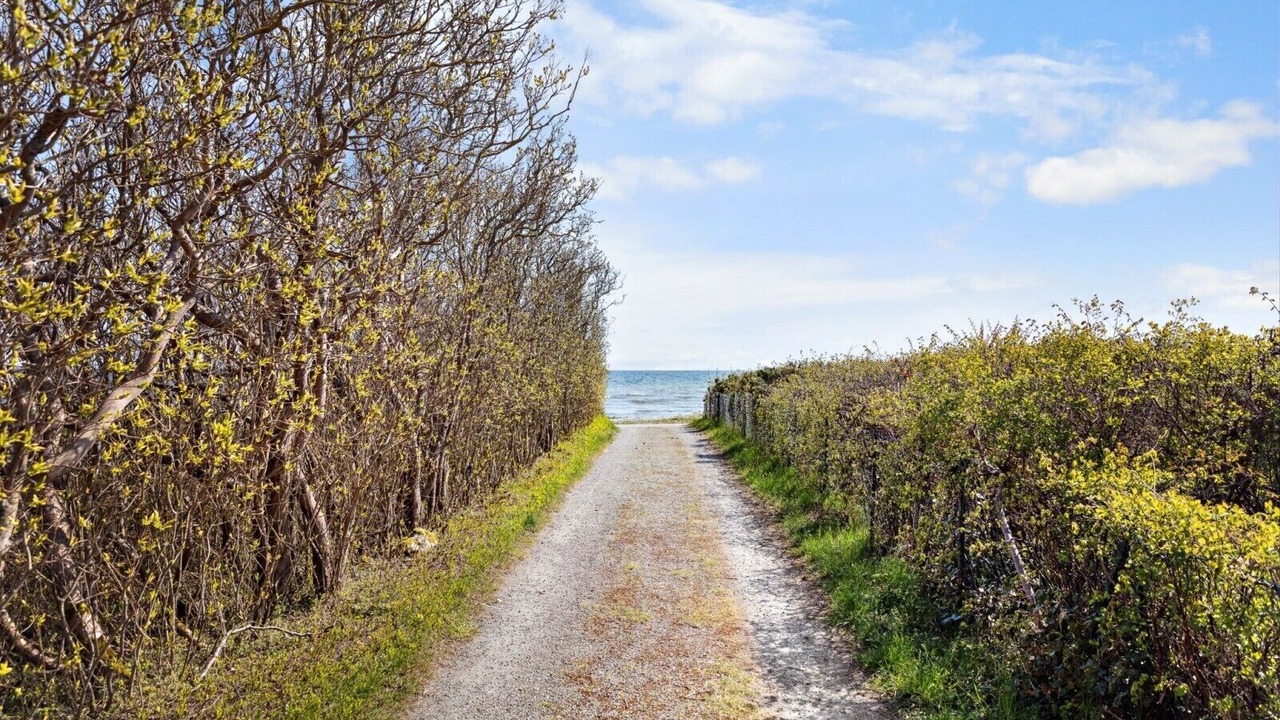 Photo of Others in Beddingestrand