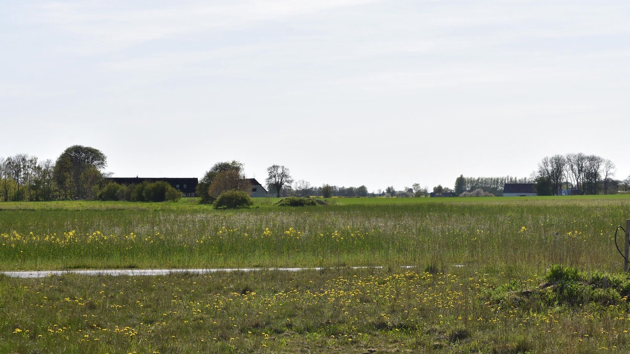 Photo of Others in Borrby
