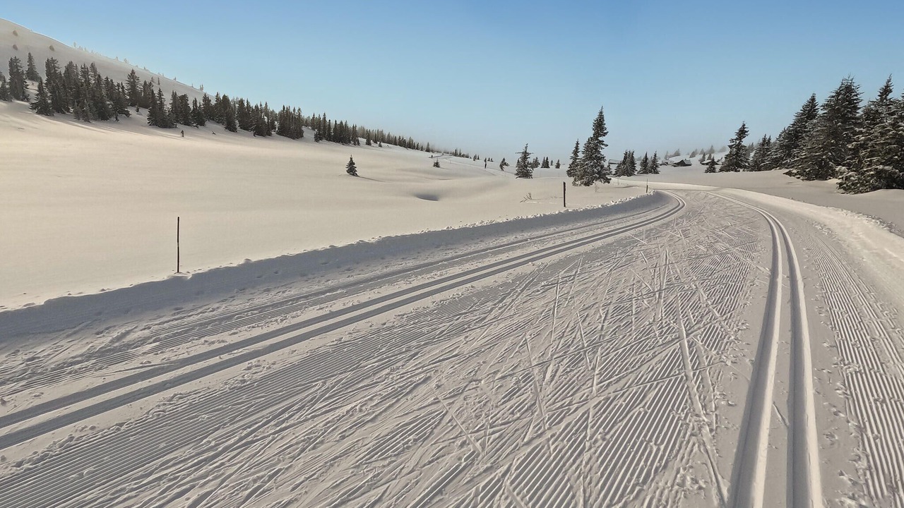Photo of Others in Sjusjoen
