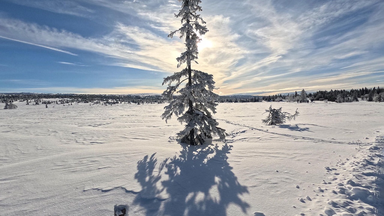 Photo of Others in Sjusjoen