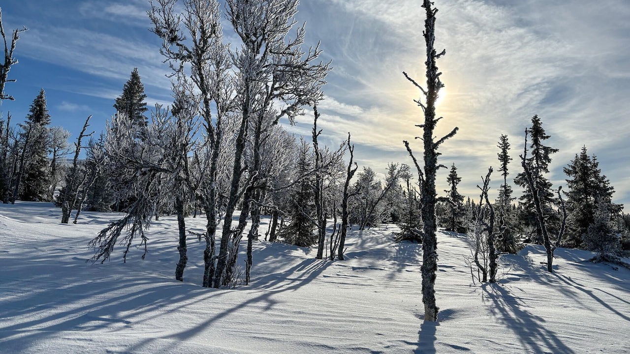 Photo of Others in Sjusjoen