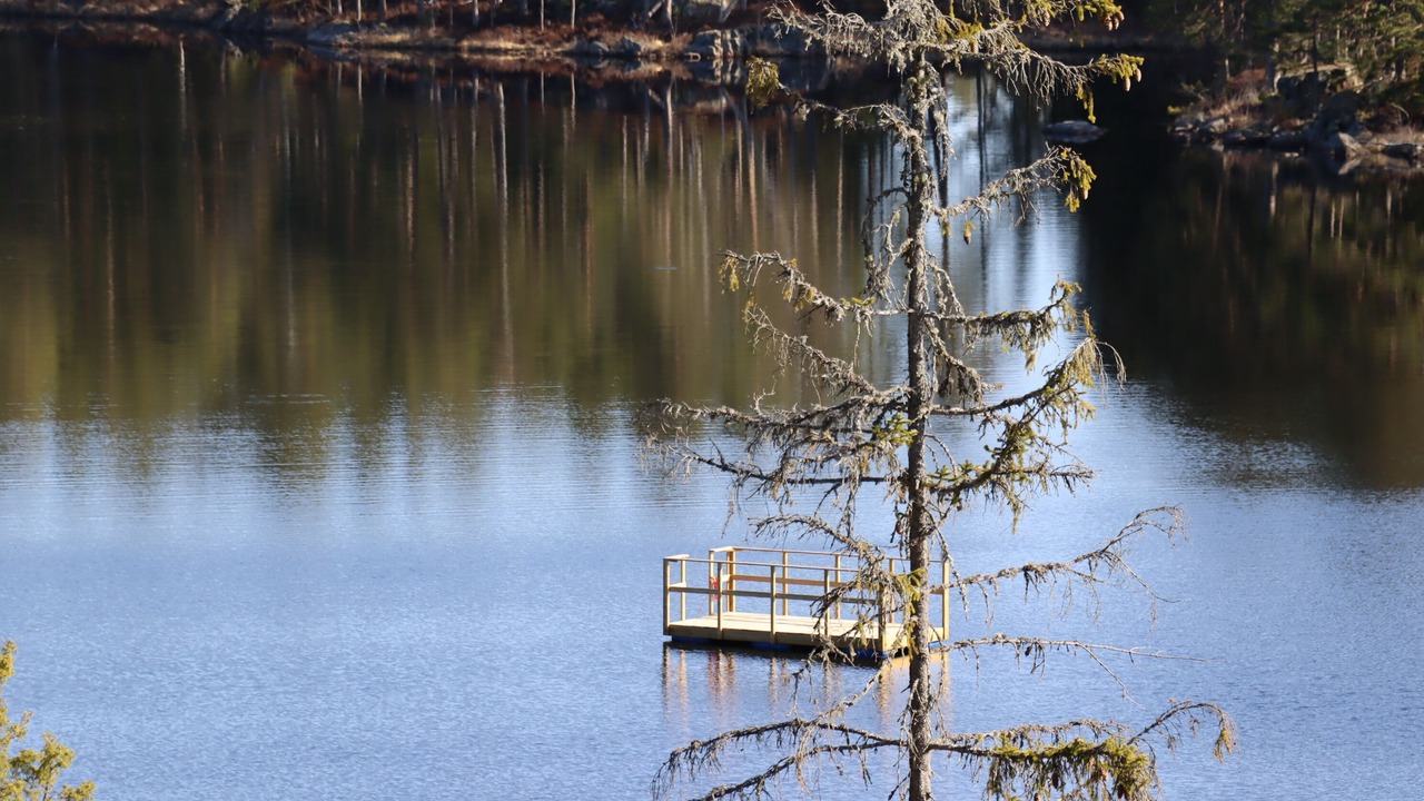 Photo of Outdoor in Tived