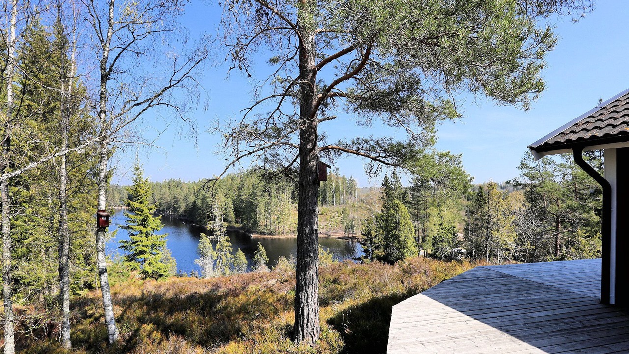 Photo of Outdoor in Tived