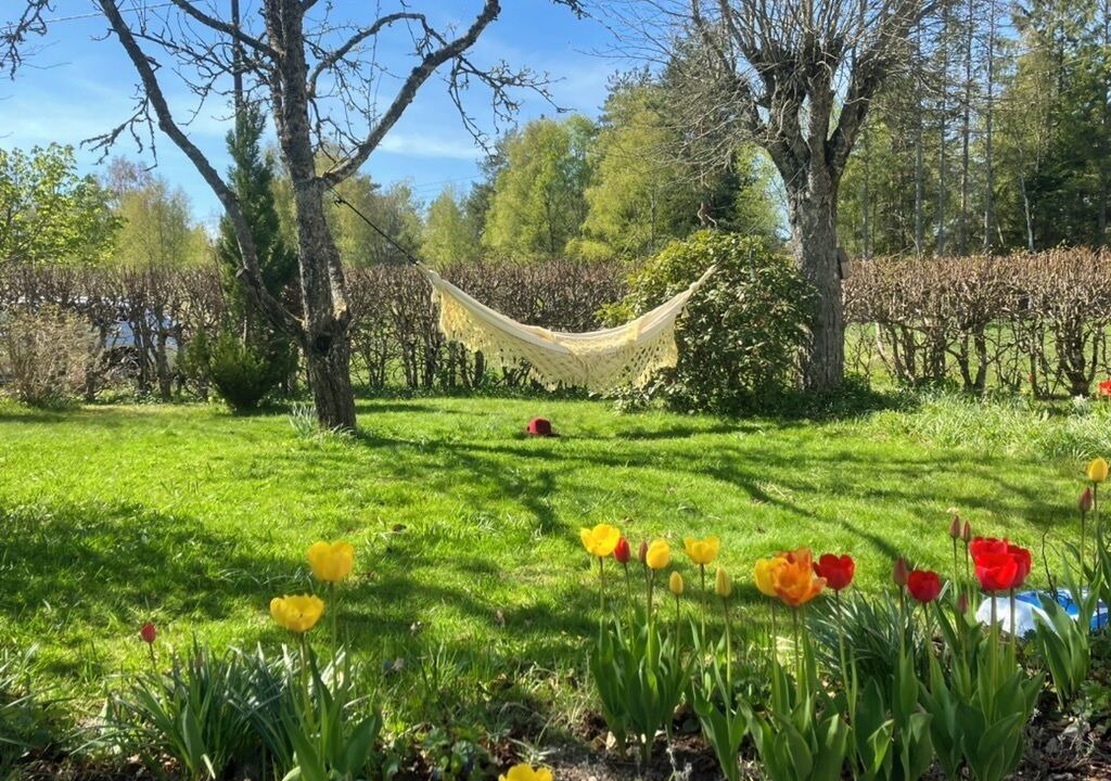 Photo of Outdoor in Brastad