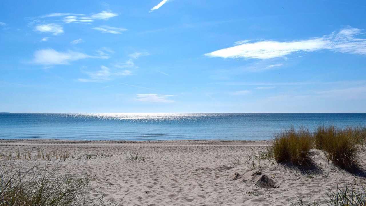 Photo of Others in Ystad