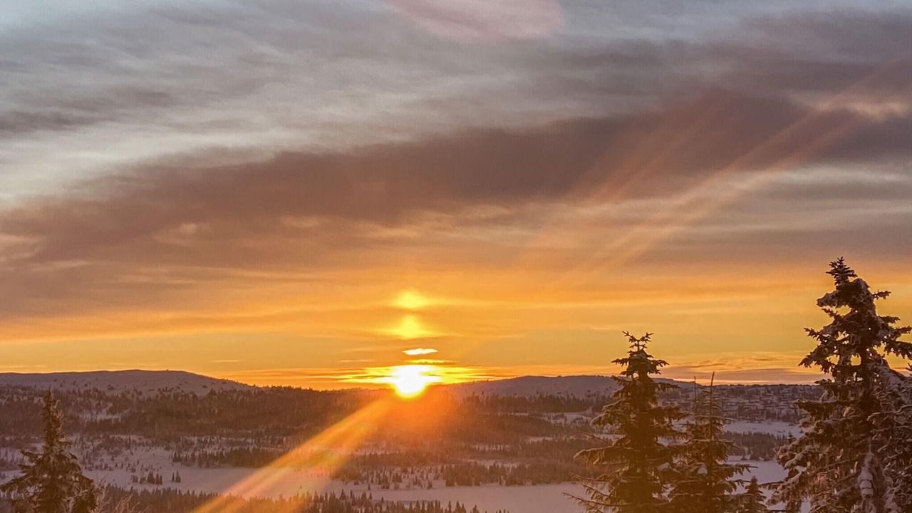 Photo of Others in Sjusjoen