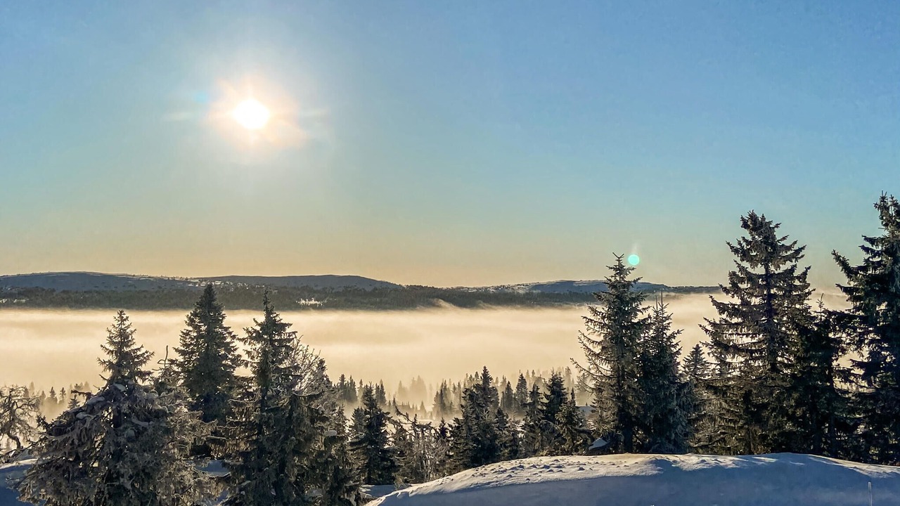 Photo of Others in Sjusjoen
