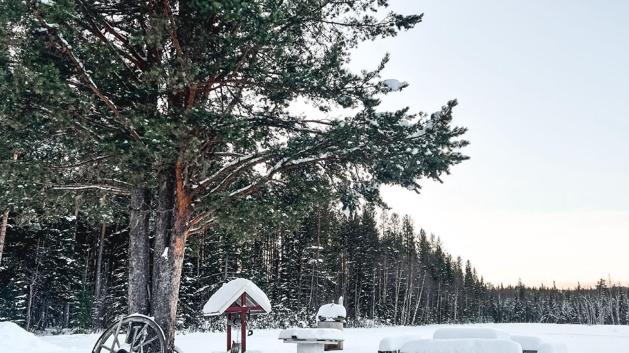 Photo of Outdoor in Vidsel