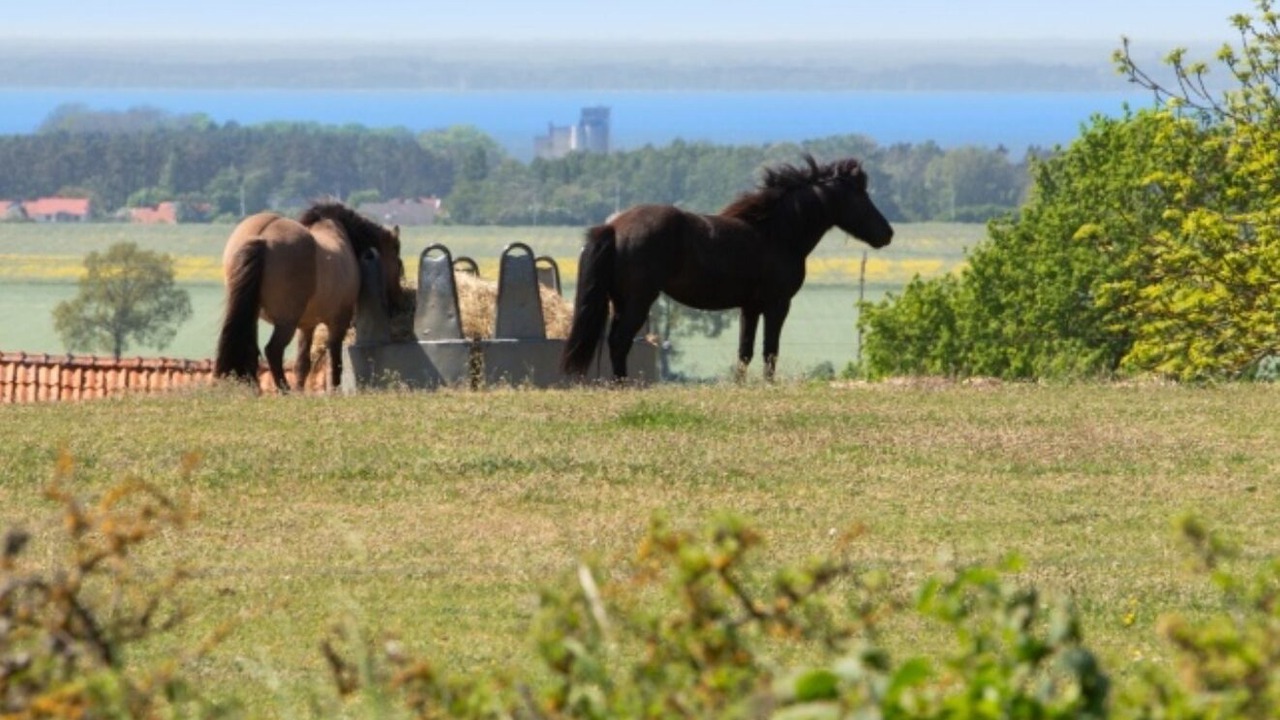 Photo of Others in Stora Fro