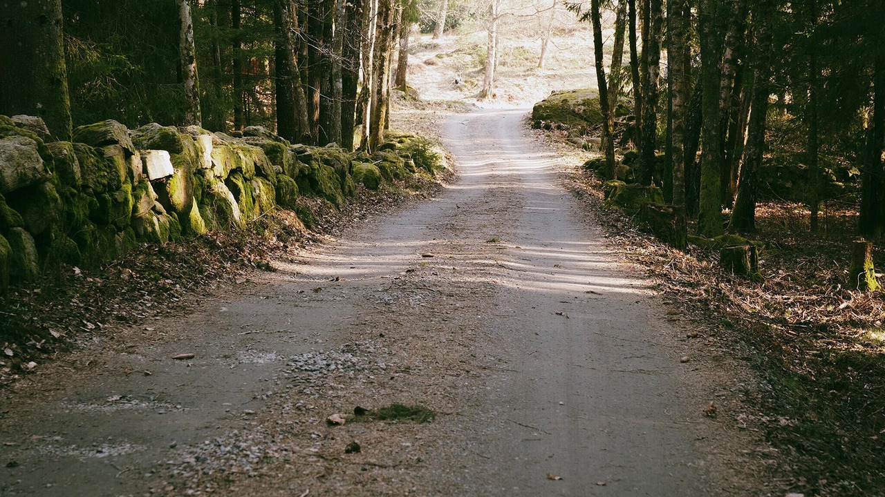 Photo of Others in Tollered