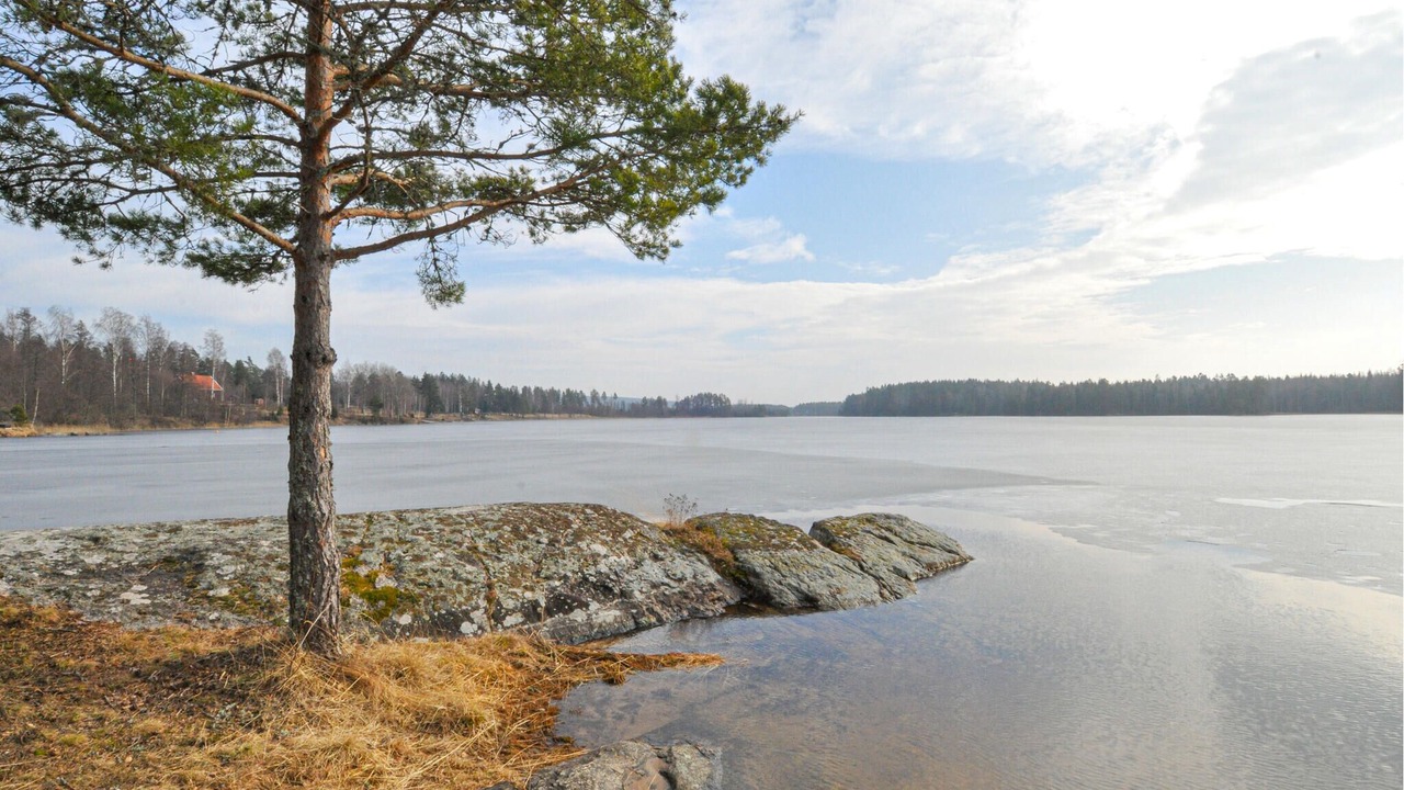 Photo of Others in Viken