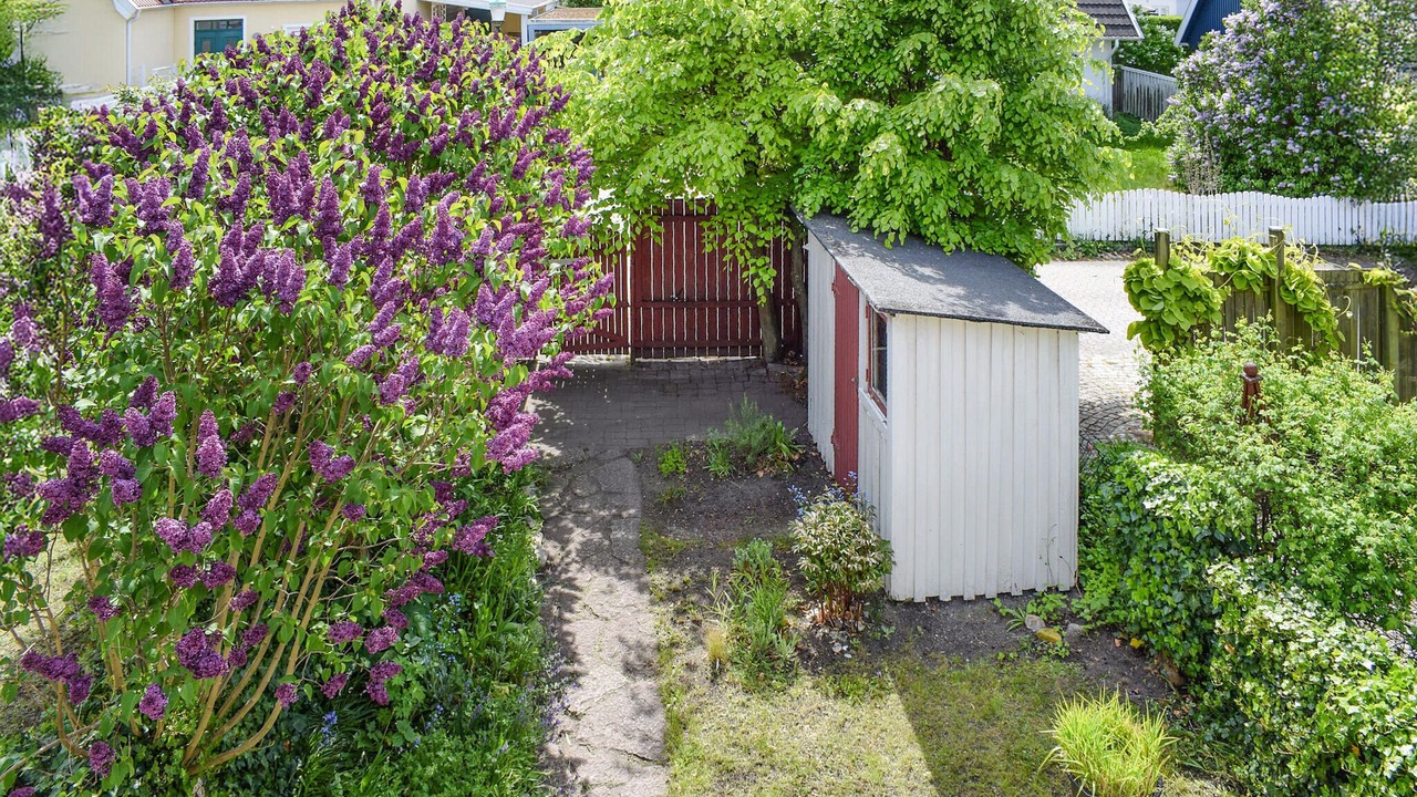 Photo of Others in Limhamn
