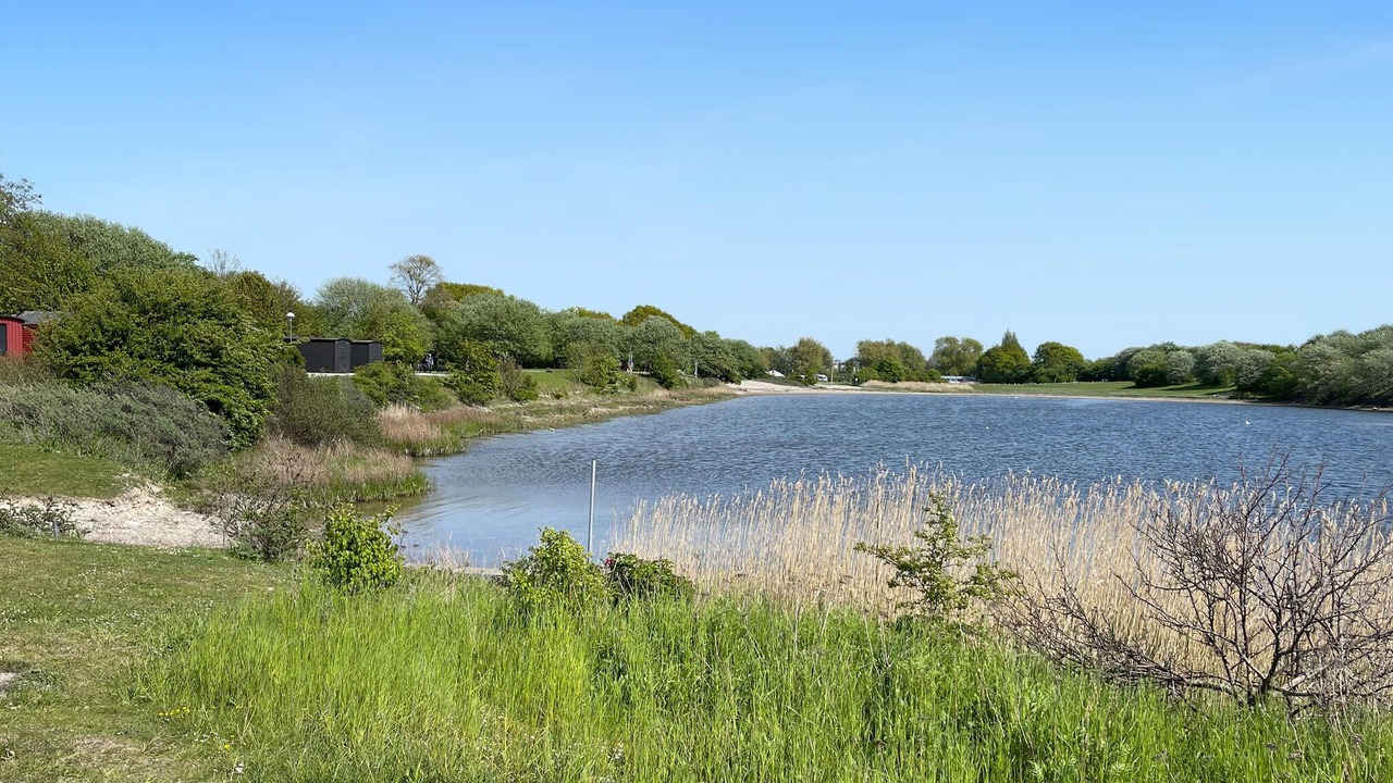 Photo of Others in Limhamn