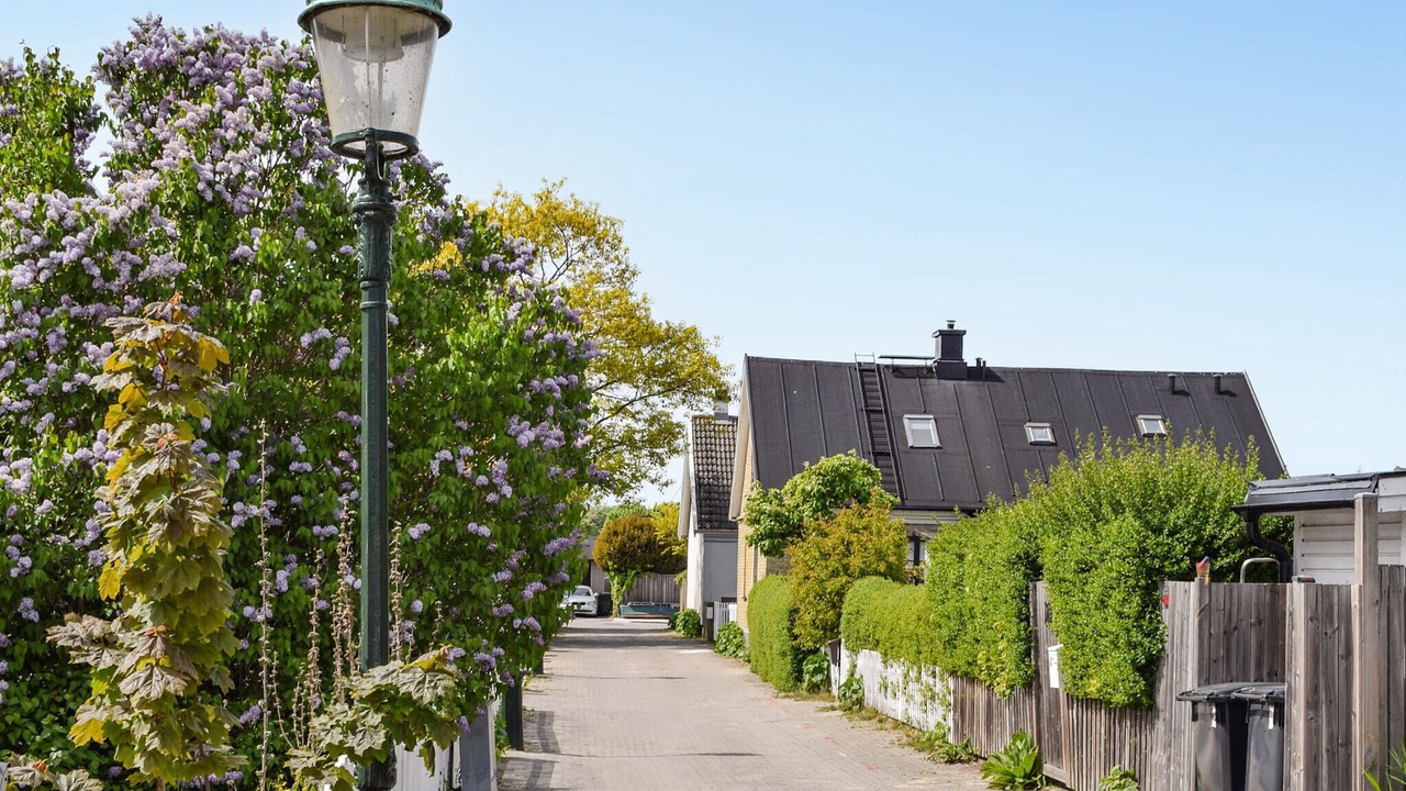 Photo of Others in Limhamn